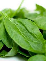 Vitamina K